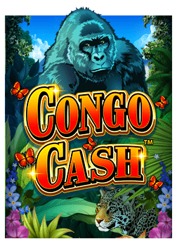 รีวิว wm555 casino แหล่งพนันออนไลน์ยอดนิยม